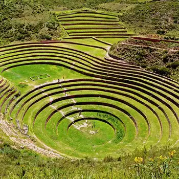 Moray Terraces