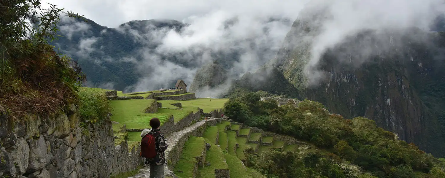 Platforms and Agricultural Terraces of Machu Picchu